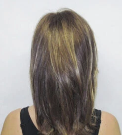 Diana LF Wig By Godiva's Secret Wigs 20 Diana LF Wig By Godiva's Secret Wigs -Wig Promotion Shop Diana back 95325.1442348212.500.659