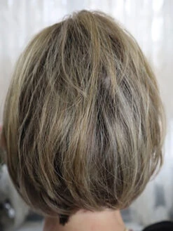 Fun By Ellen Wille | Heat-Friendly Synthetic Topper -Wig Promotion Shop Funback1copy