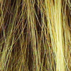 Miles Of Style Wig By Raquel Welch 38 Miles Of Style Wig By Raquel Welch -Wig Promotion Shop R13F25 PRALINE FOIL