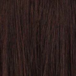 Eva Wig By Estetica | Remy Human Hair -Wig Promotion Shop R4 DARK BROWN
