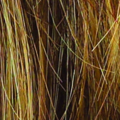 Miles Of Style Wig By Raquel Welch 34 Miles Of Style Wig By Raquel Welch -Wig Promotion Shop R9F26 MOCHA FOIL