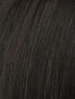 Spotlight Wig By Raquel Welch | Mono Top | Large Cap -Wig Promotion Shop RL2 4 OFF BLACK Black Evenly Blended with Dark Brown Highlights 76a40e4a 78dc 4a21 b0ac dd31a00e2476