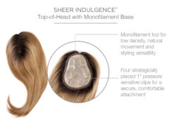 Go All Out 16" Topper By Raquel Welch -Wig Promotion Shop RW GoAllOut16 Cap