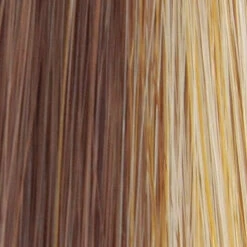 Blaze Wig By TressAllure | Mono Top 38 Blaze Wig By TressAllure | Mono Top -Wig Promotion Shop Sugar Brulee 38698402 cbcf 4070 b05b fd05fbc9d8a5