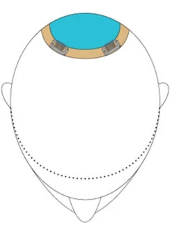 Top This 16" By Jon Renau | Remy Human Hair | Renau Exclusive 25 Top This 16" By Jon Renau | Remy Human Hair | Renau Exclusive -Wig Promotion Shop TopThis placement ed0f5b84 2a49 4e5a 8861 fd9066b87af5