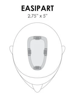 EasiPart Topper French 18" | Remy Human Hair | Renau Exclusive -Wig Promotion Shop easipart placement base dimension 4d1430b2 2ae4 45b0 8d7e 6ad69959507f