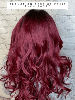Seduction By Rene Of Paris -Wig Promotion Shop image00002 8e38ba73 cbe9 403e af15 5b7d56272d24